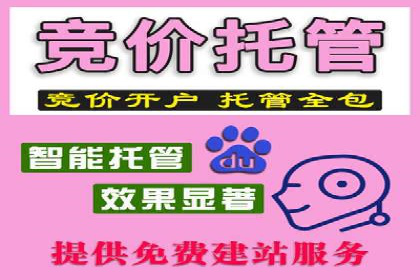 案例解析：SEM竞价优化策略提升广告效果